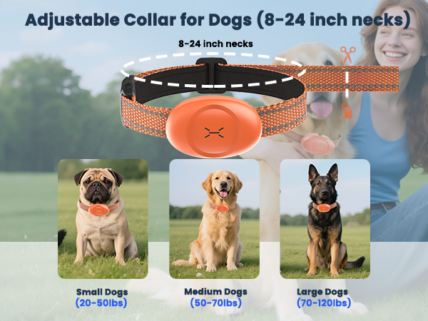 for all sizes dogs