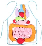 VILLCASE 3D Organ Apron, Anatomy Apron Human Body Organs Awareness Educational Tool Toy for Home ...