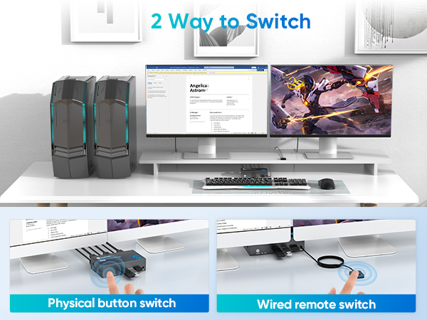 kvm switch 2 monitors 2 computers