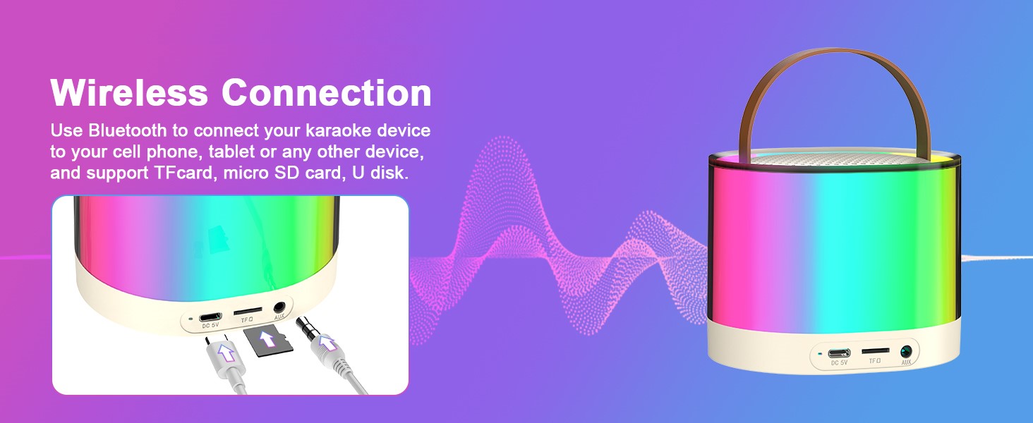 Mini Karaoke Machine, Bluetooth Karaoke Speaker with 2 Wireless Microphones