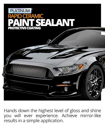 Paint Mobile