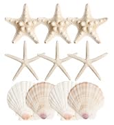 HAPYSHOOP 16 Pieces Starfish and Scallop Shells for Crafts 2.6"-3.8" Large Seashells Natural Sea ...