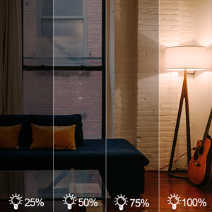 Dimmer plug