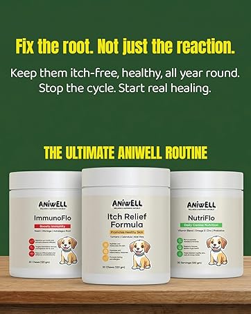 senior dog supplements dog multivitamins