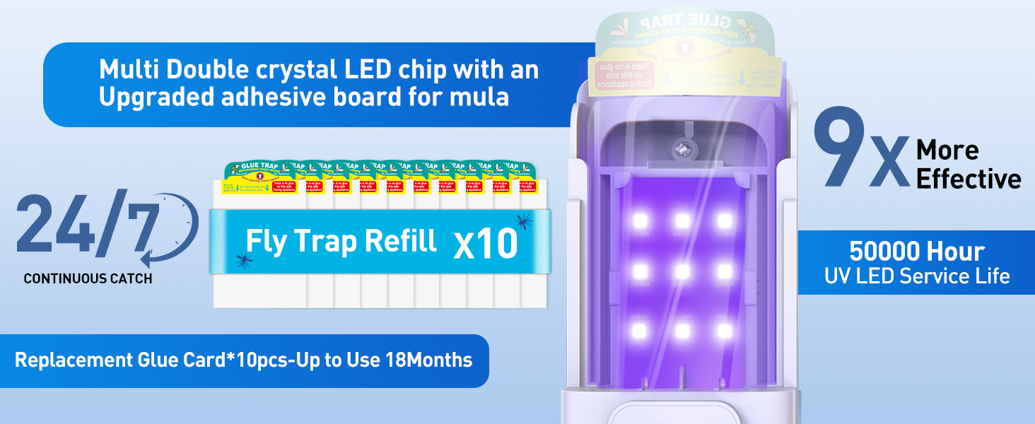 gnat traps for house indoor