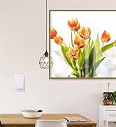 Thinkbee Wireless Light Switch and Receiver Kit, Mini Remote Control Switch with Wall Plate for C...