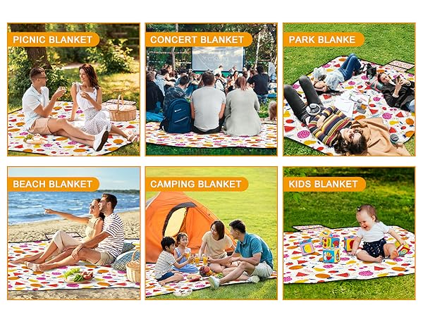 picnic