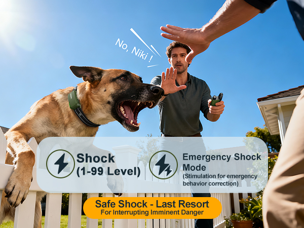 dog zapper collar with remote