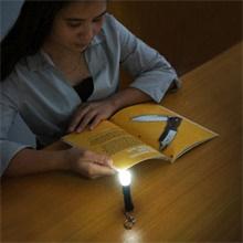 as canble or table lamp