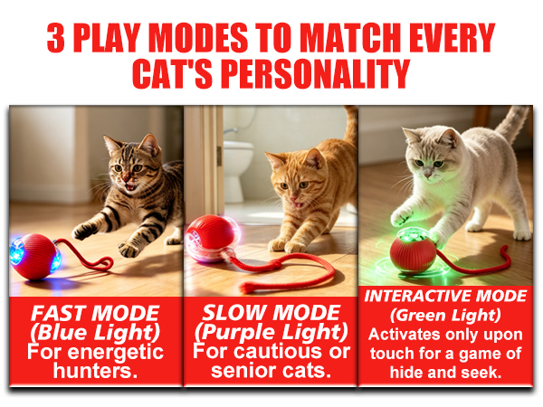 Electric cat ball toy