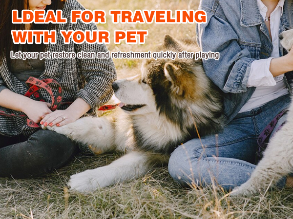 dog dryer for pet grooming