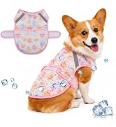 Dog Cooling Vest for Dog Cooling Harness for Summer Outdoor Hiking Walking Sun Protection S