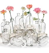 YOUEON 16 Pack Living Bud Vases, Clear Glass Flower Vase, 8 Oz Decorative Bottle Vase, Glass Vase...