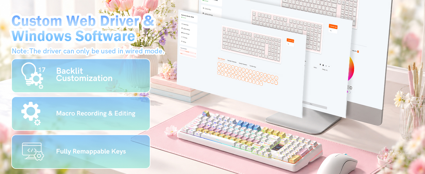 ONLINE CUSTOM WEB