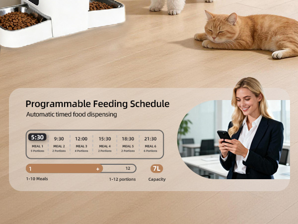 cat automatic feeders 2 cats