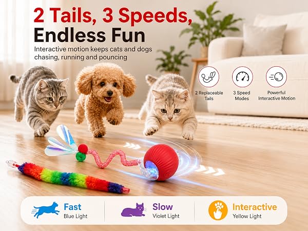 cat toys for indoor cats best sellers