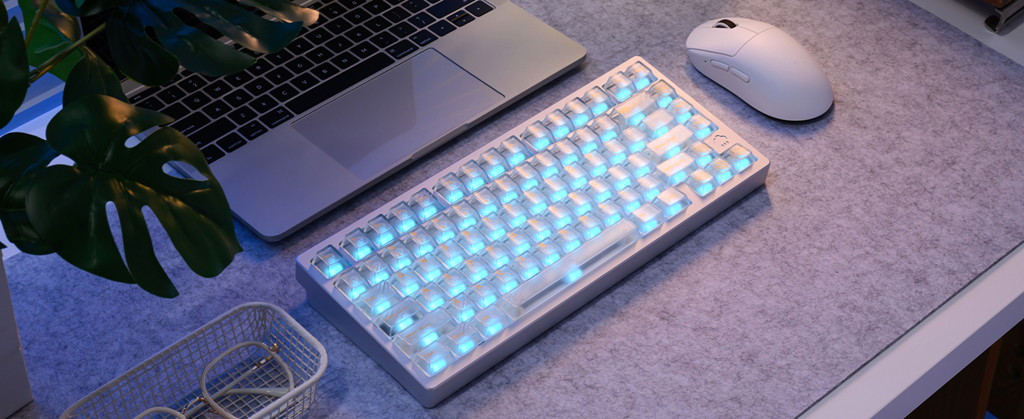 clear keycaps