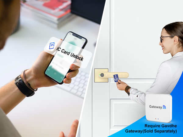 indoor knob with fob gold