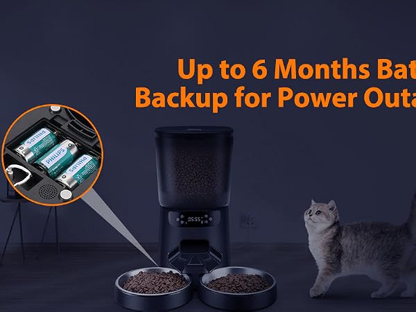 dual cat feeder automatic