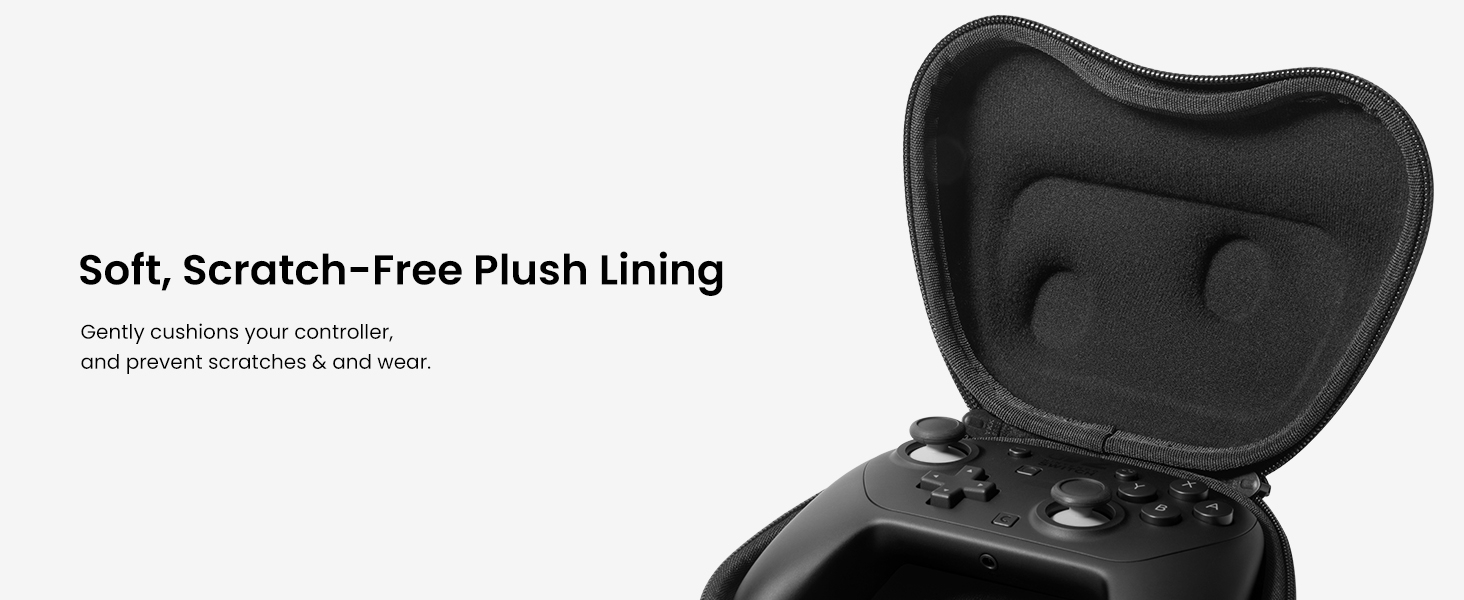 switch 2 pro controller