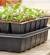 Self Watering Kit