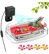 Freeseason 2K Smart Window Hummingbird Feeder Camera with AI Identify, Auto-Capture Fast Moments,...