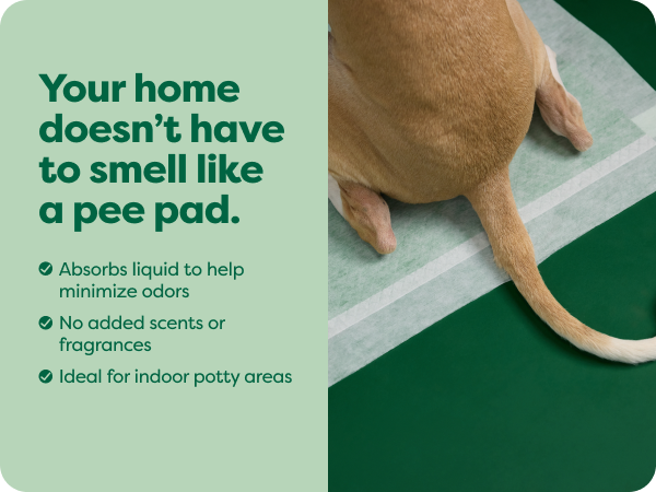 wee wee pads for dogs