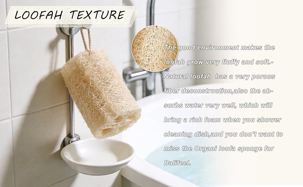 Natural Loofah