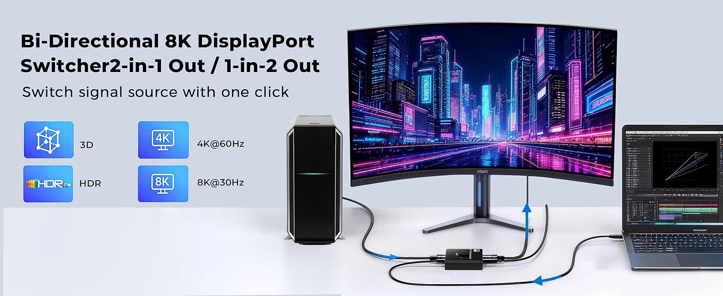DisplayPort Switch