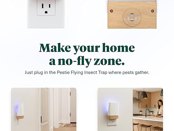 Make your home a no fly zone mobile