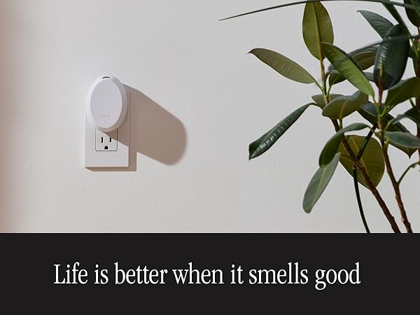 life is better when it smells good 