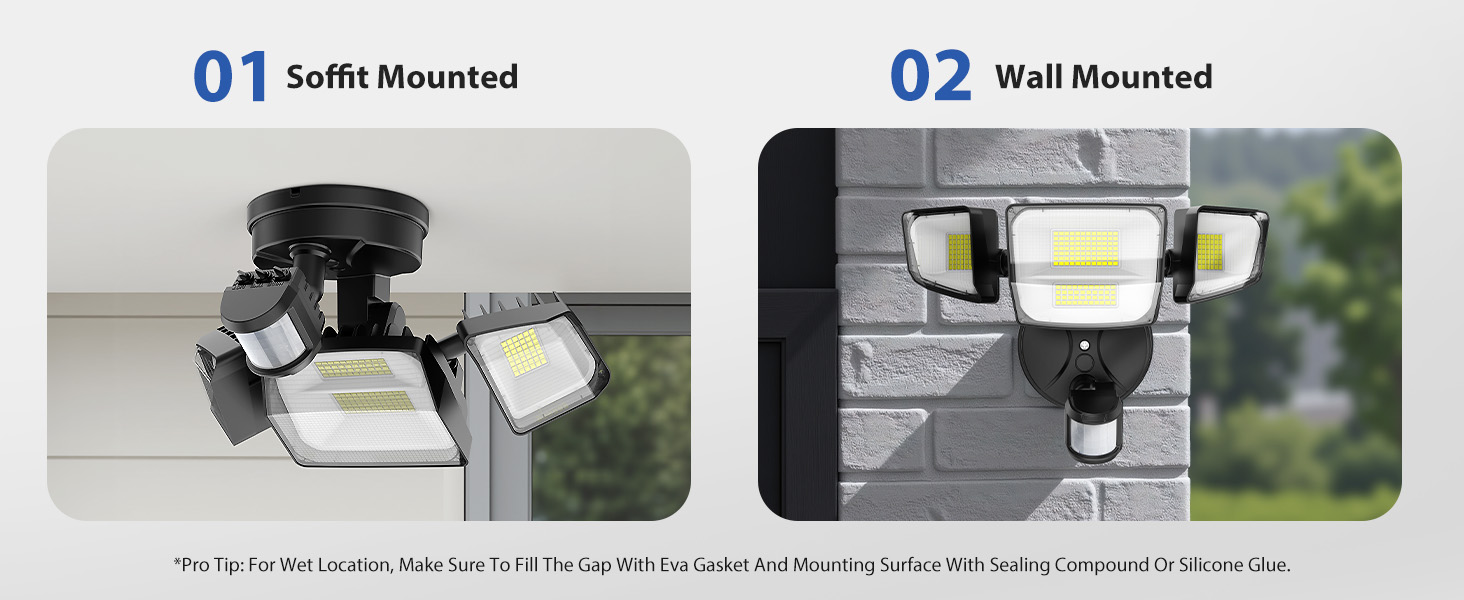 wall mount and soffit mount