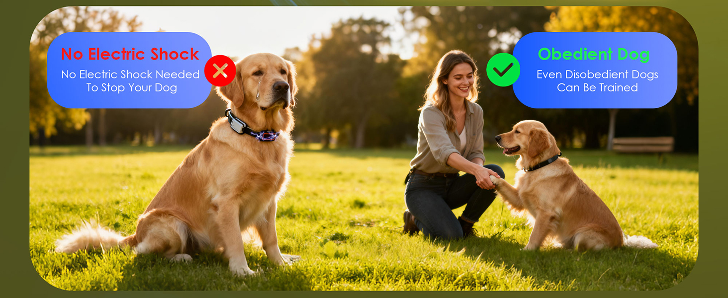 bark deterrent device