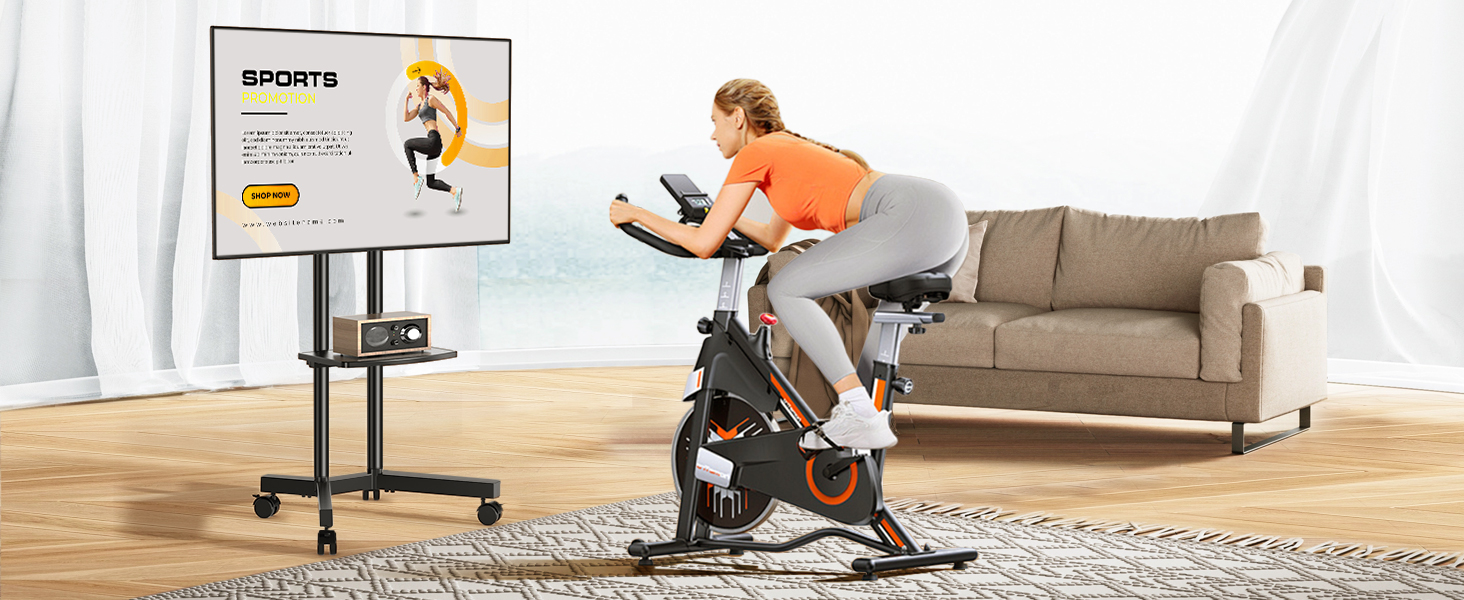 TV CART