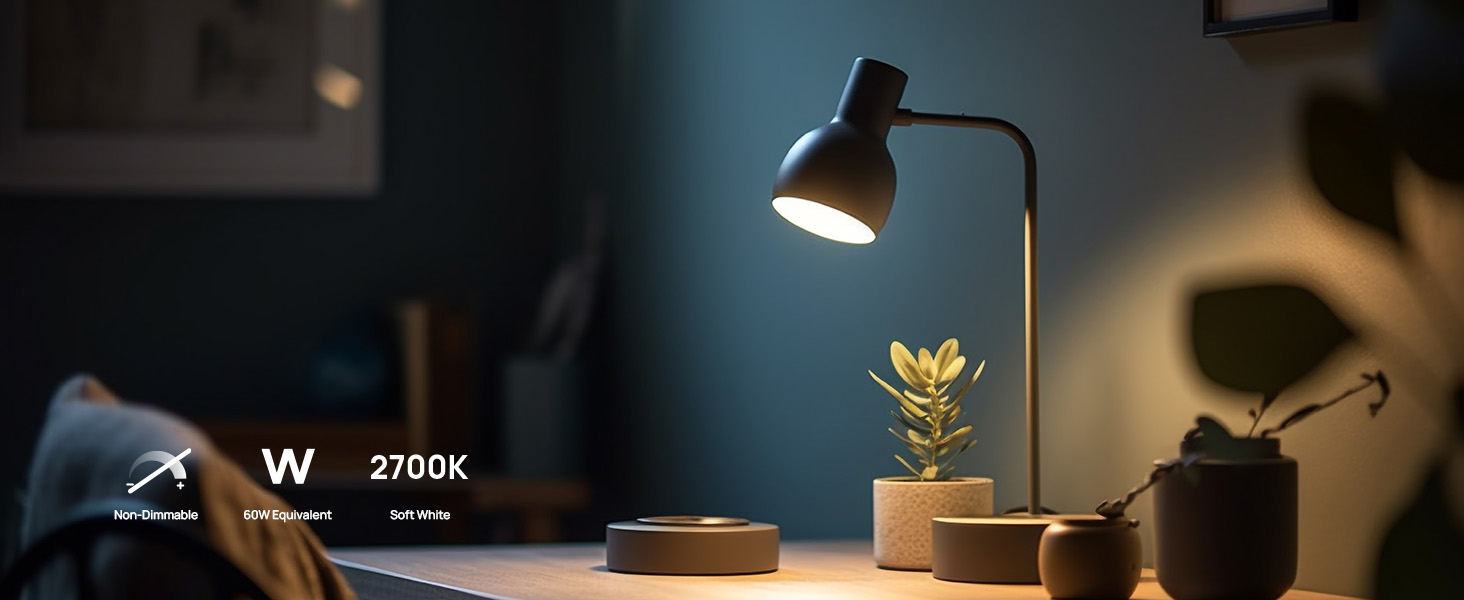 A19 LED light bulbs non dimmable bulbs