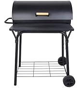 Charcoal Grill, Portable Barbecue Grill Tools for Outdoor Grilling Cooking Camping Hiking Picnics...