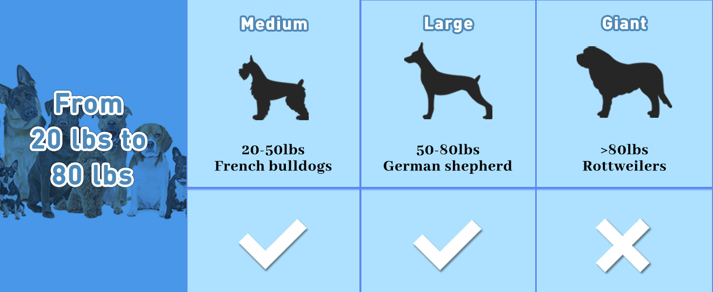 large dog toys