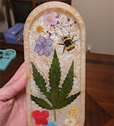 Pressed Flowers