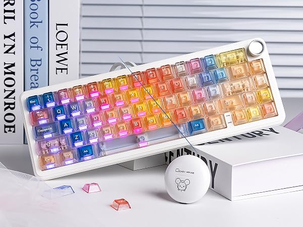 Clear keycaps Set,Translucent Jelly Key caps Shine Through keycaps,Cherry Profile Custom keycaps