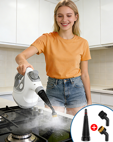 steam cleaner handheld