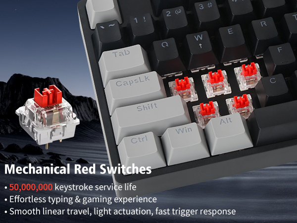 red switches
