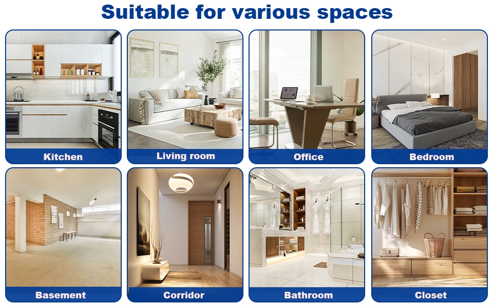 Ionizer Air Purifier