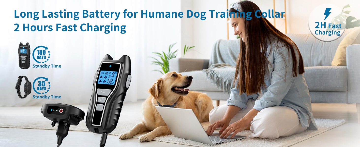 dog training collar 6