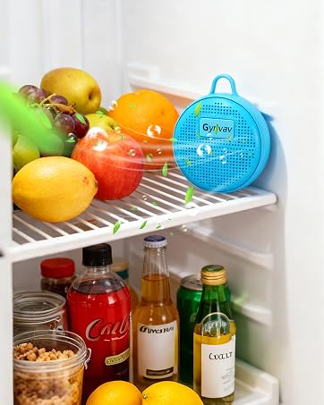 fridge deodorizer