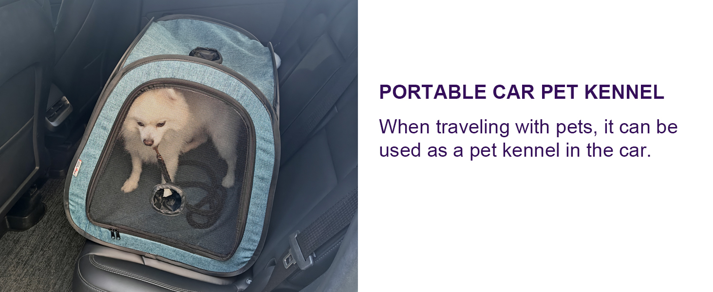 pet drying box