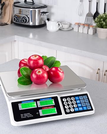 Electronic Computing Scale