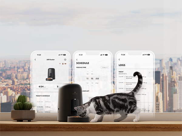 automatic cat feeder