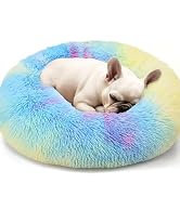 dog bed
