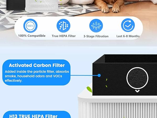 211+ Replacement Filter Compatible with Blue Pure Blue Pure 211+