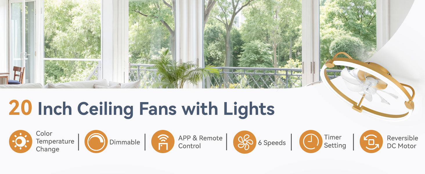 ceiling fan with light